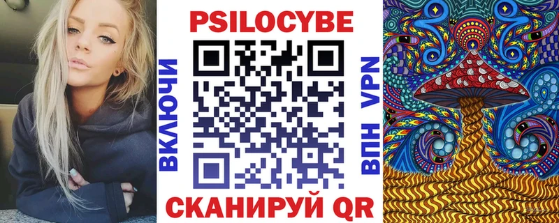 Купить  Слюдянка  Псилоцибиновые грибы Cubensis 